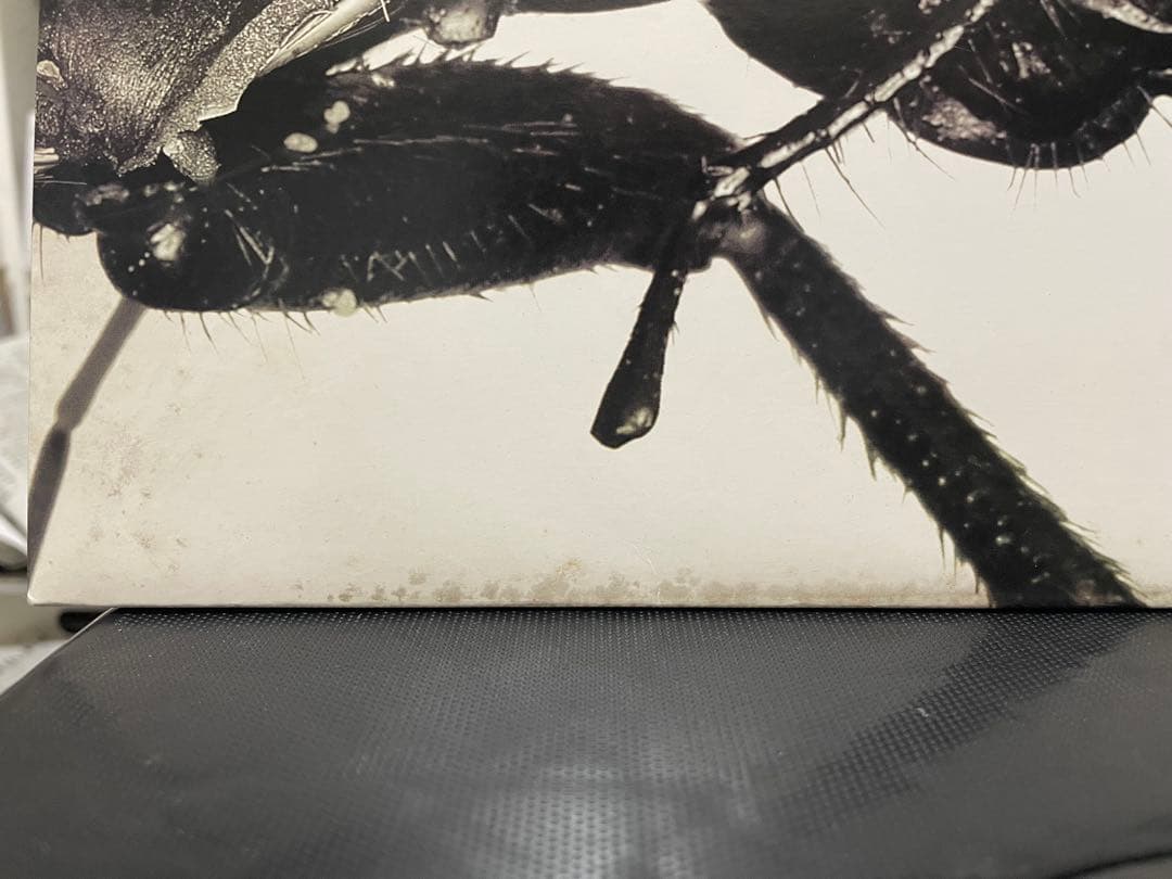 オリジナル　Massive Attack Mezzanine レコード