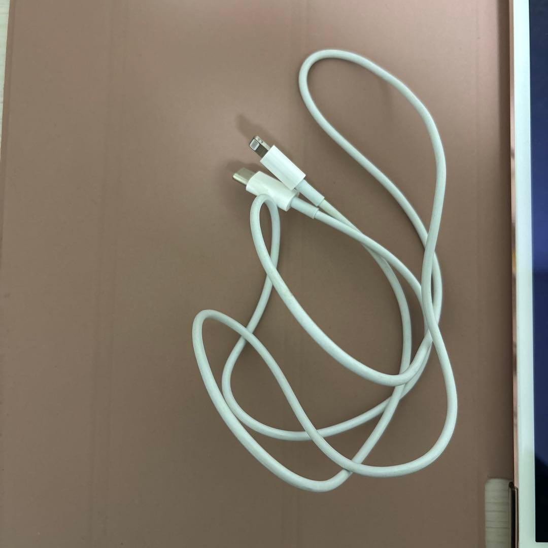 iPad Pro 10.5 ピンク充電ケーブル付き