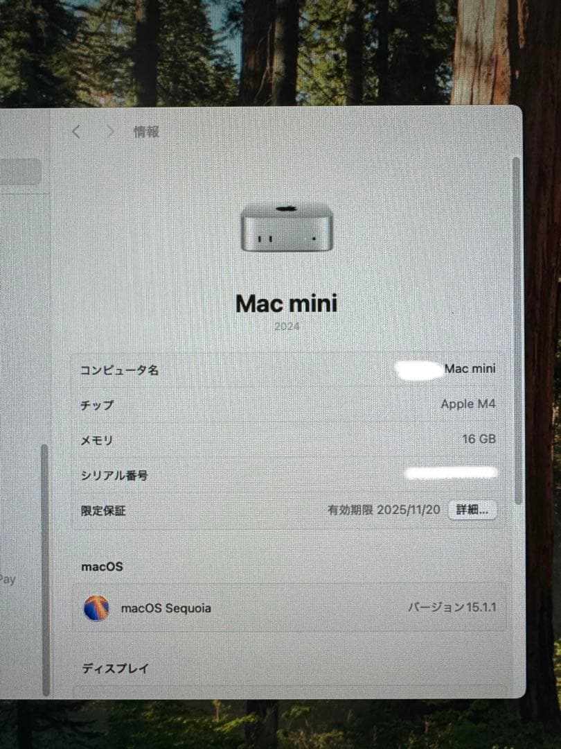 M4 Macmini メモリ16GB SSD512GB