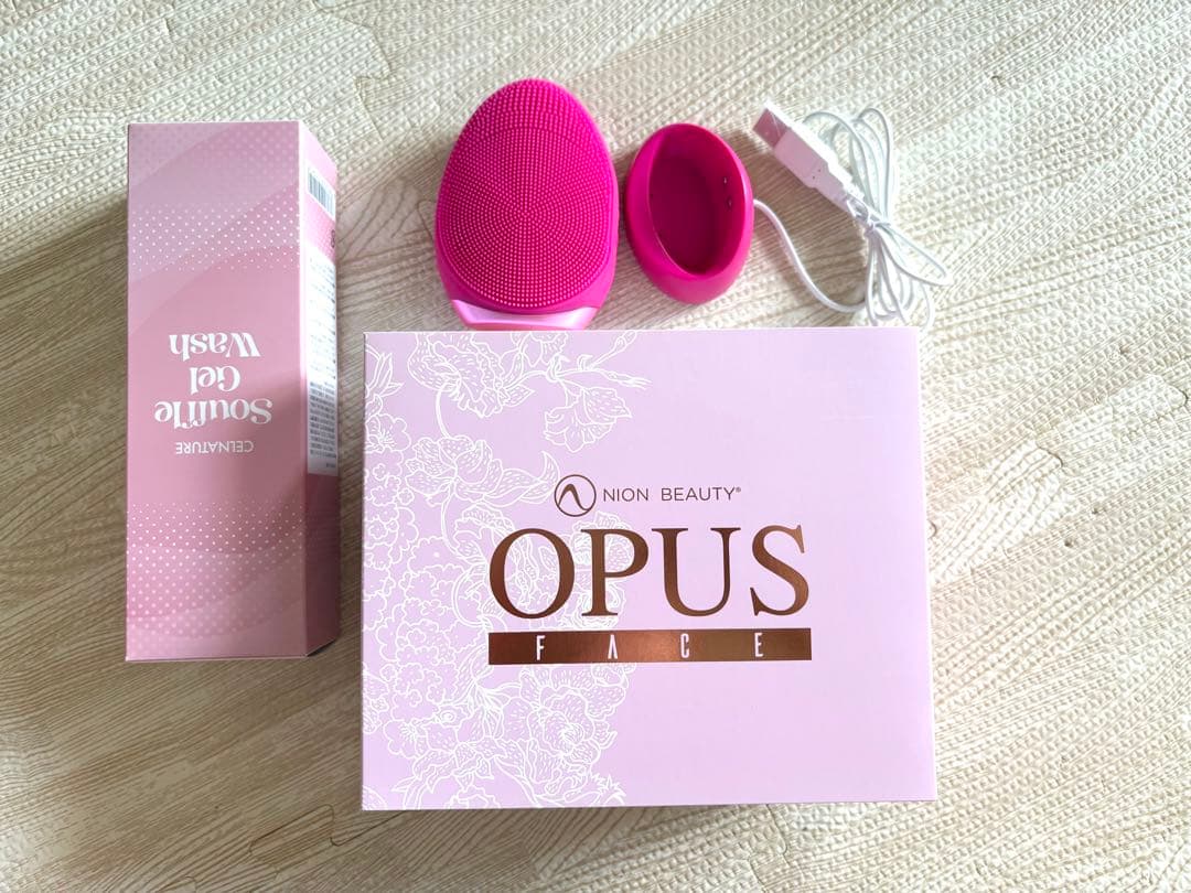 ネイオンビューティー　電動美顔器　極美品