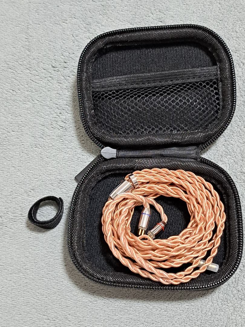 kiwi ears orchestra　キウイイヤーズオーケストラ