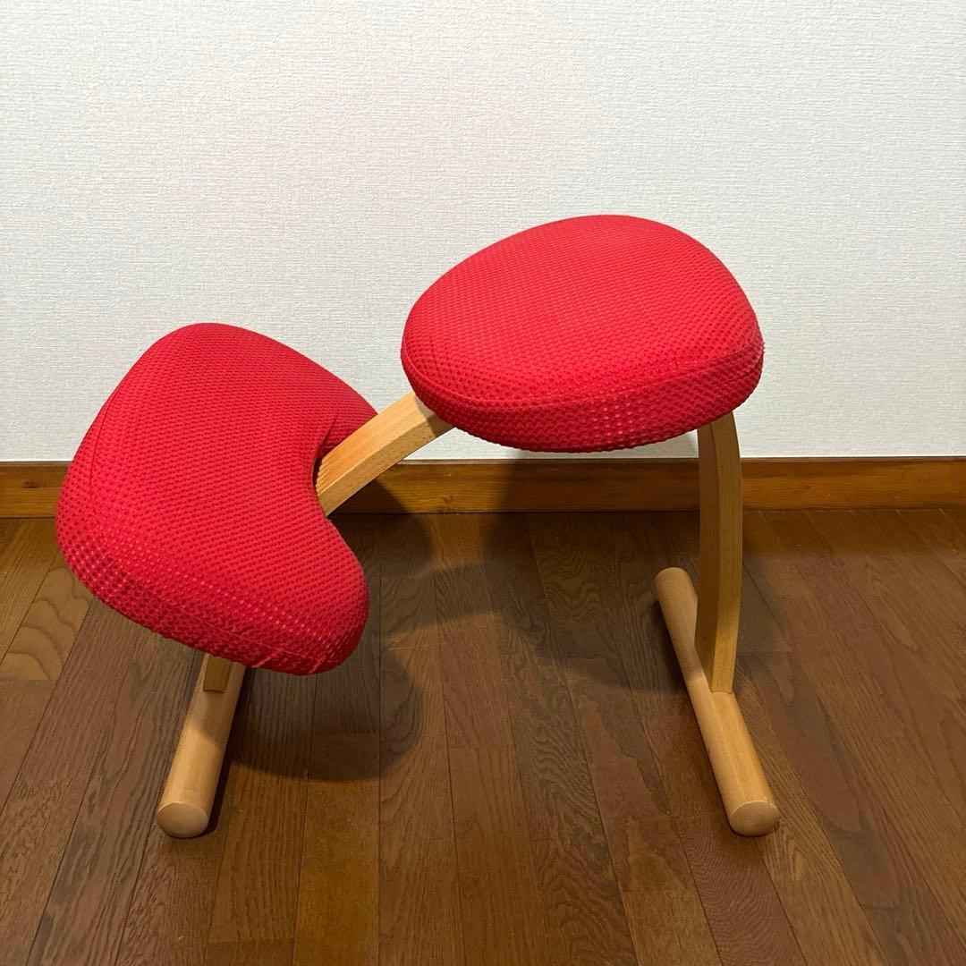 【極美品】 バランスイージー レッド 通常フレーム 防水カバー付き