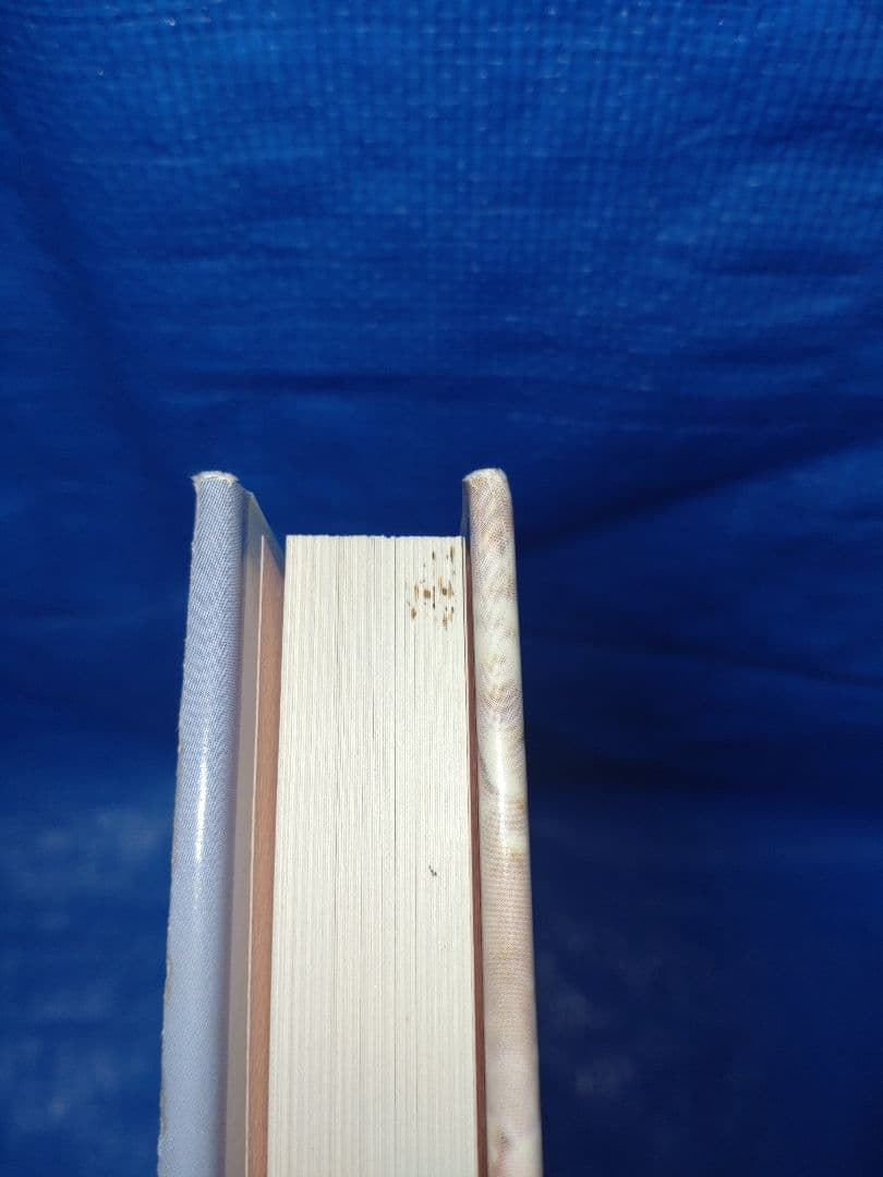 日本産クワガタムシ大図鑑　吉田賢治著　虫研