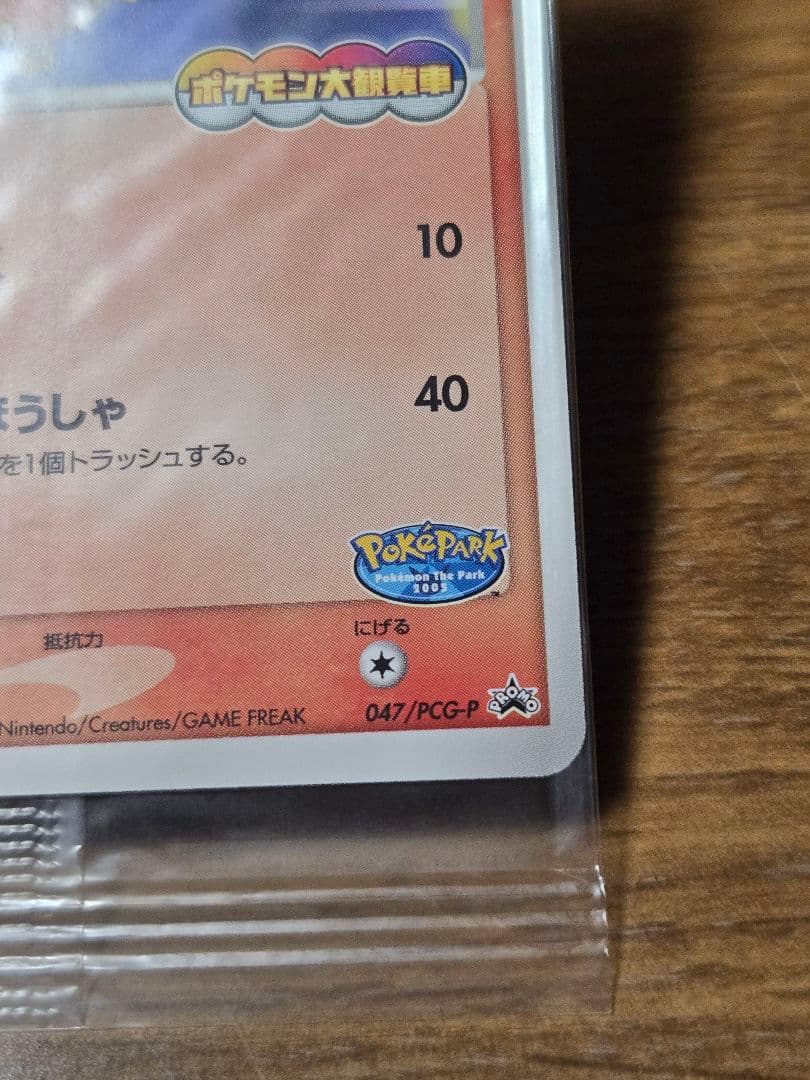 ポケパークのアチャモ プロモ 047/PCG-P ポケモンカード