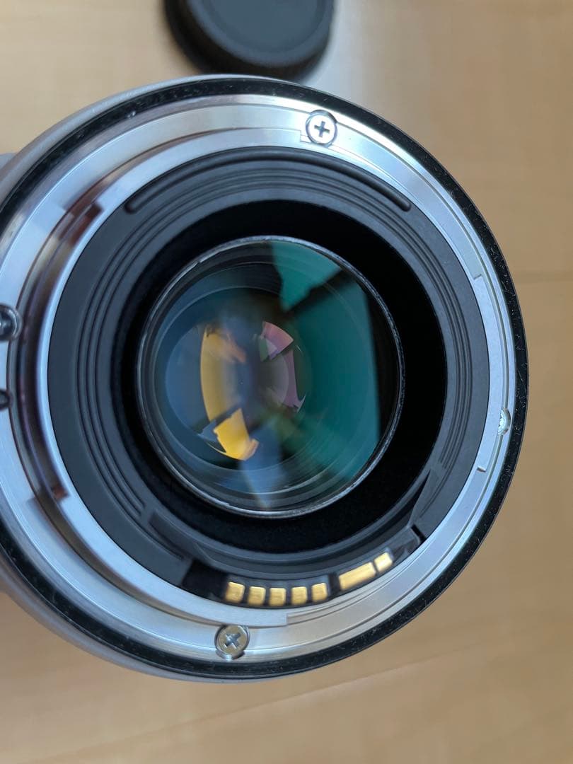 Canon EF 70-300mm f/4.5-5.6L ズームレンズ