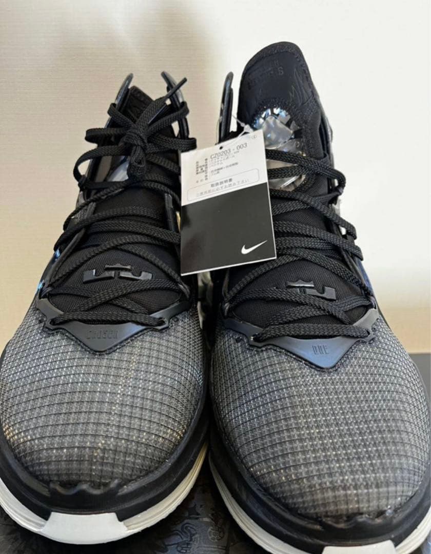 ナイキ　レブロン　19 バッシュ 新品 nba ジョーダン