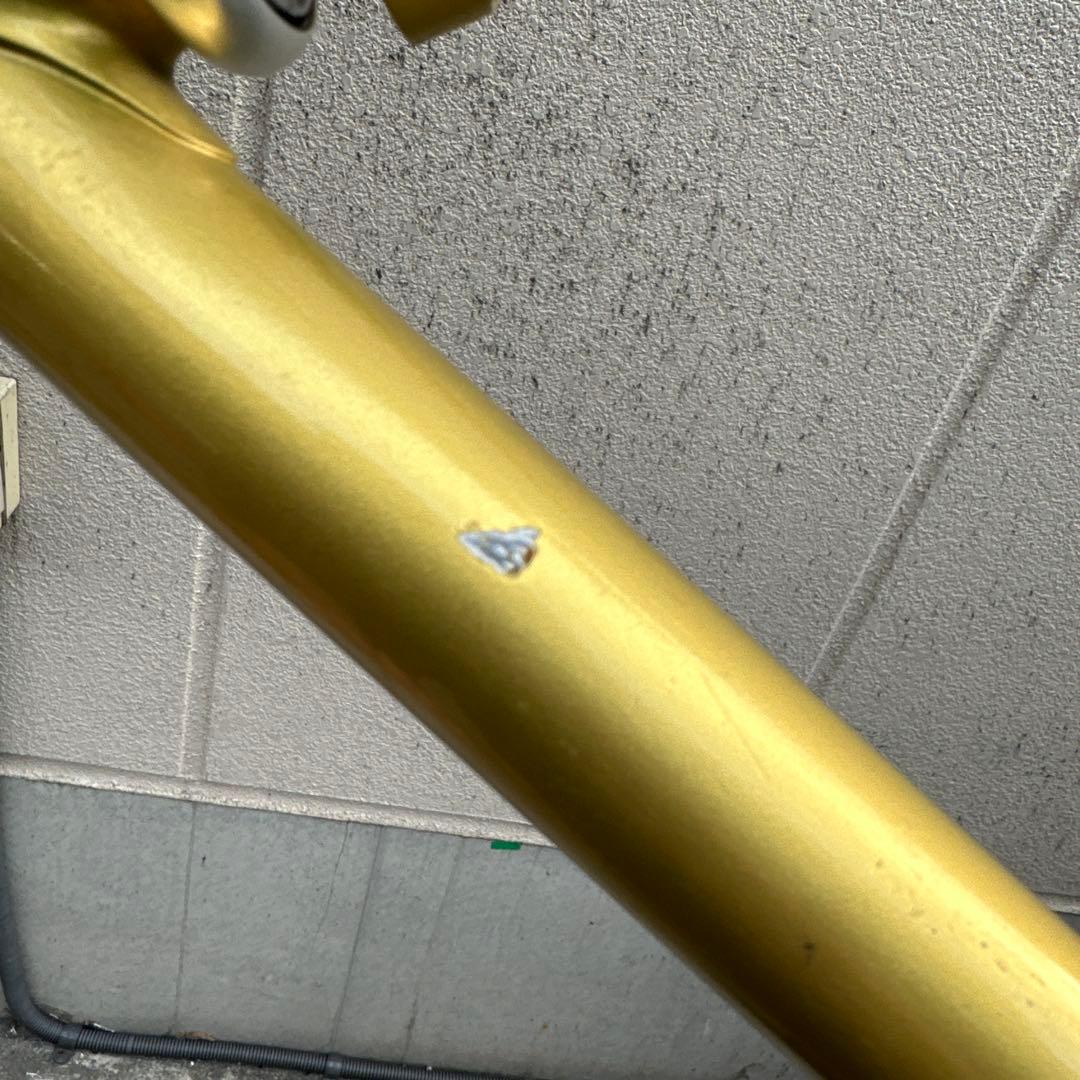 Ganwell njsフレーム ゴールド　クリスマスセール中！