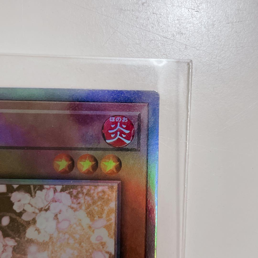 遊戯王　はるうらら　25th レアリティコレクション　ホログラフィックレア