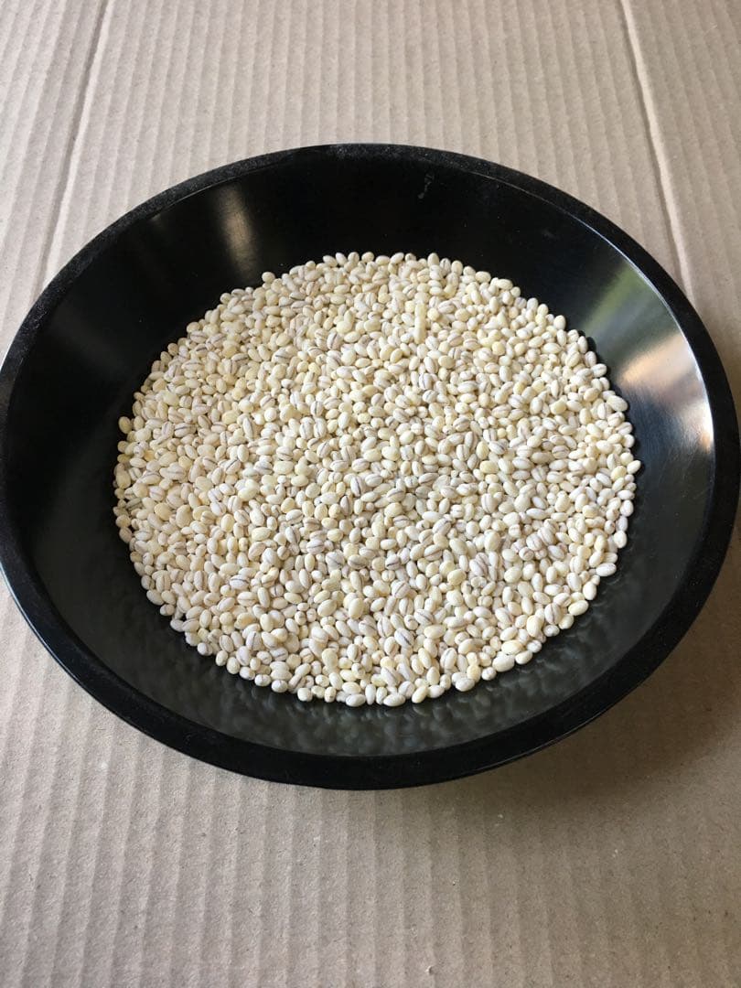 10kg 新麦　令和7年産　キラリモチ　もち麦　国産