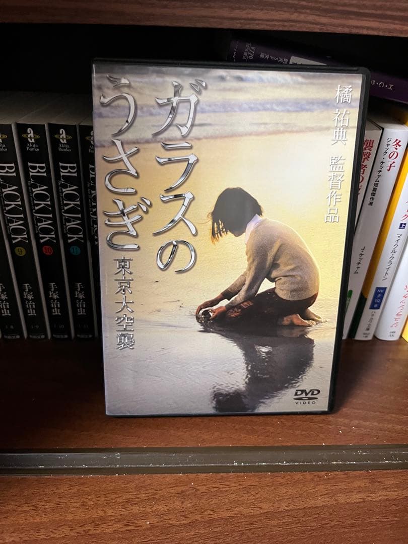 【廃盤レア】ガラスのうさぎ DVD
