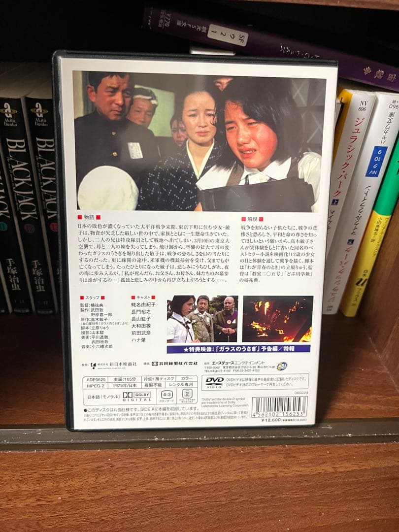 【廃盤レア】ガラスのうさぎ DVD