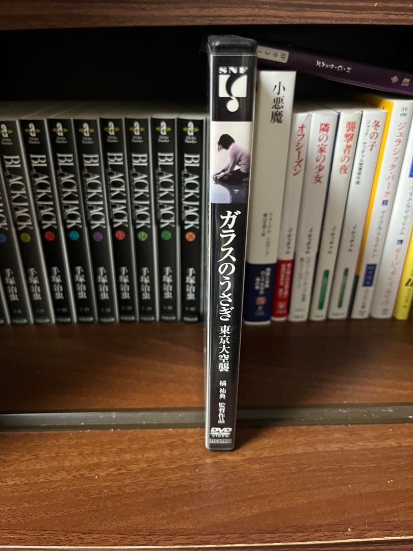 【廃盤レア】ガラスのうさぎ DVD