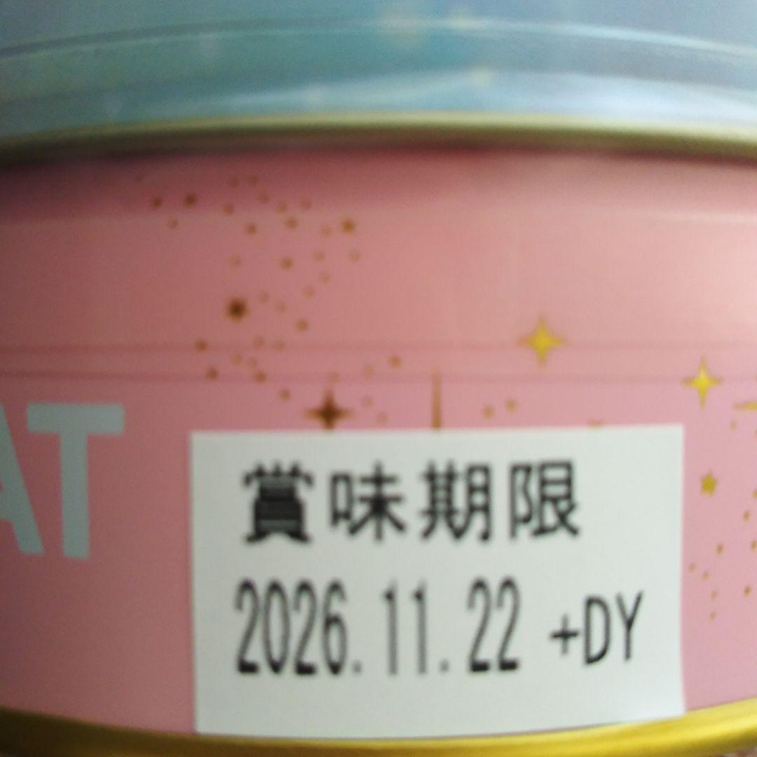 新品未開封　カカオキャット　セーラームーン　チョコ缶　10缶コンプリートセット