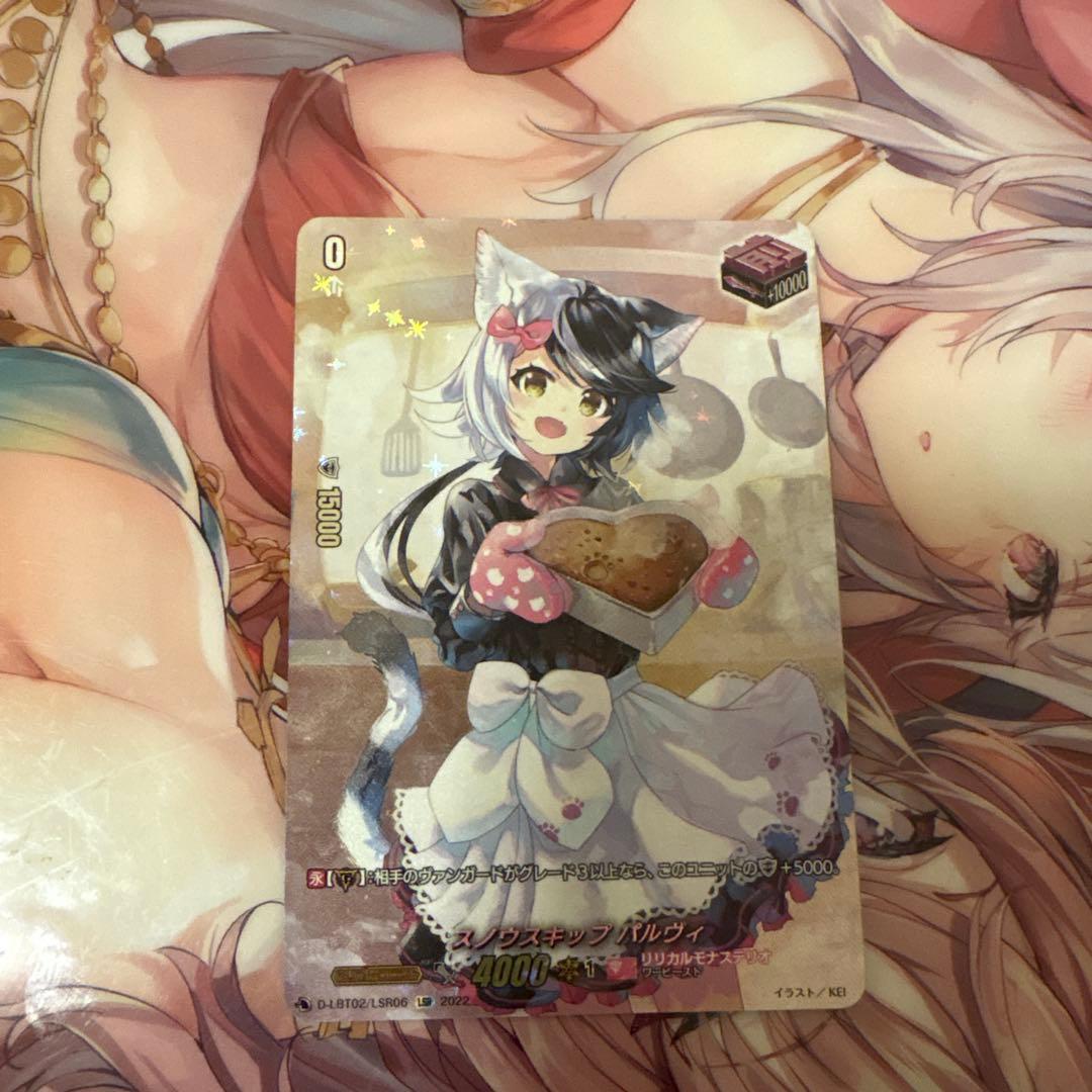 スノウスキップパルヴィ LSR ②