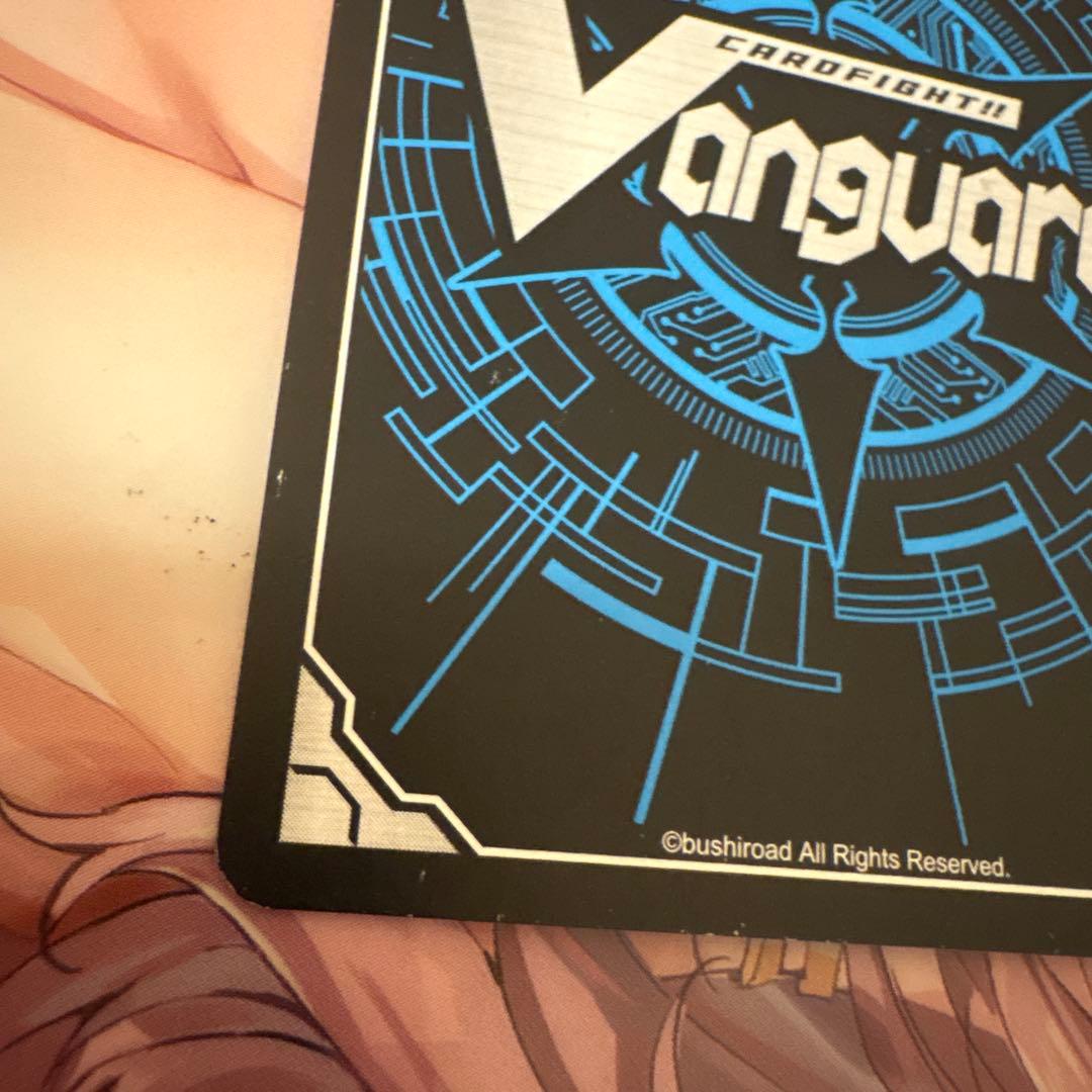 スノウスキップパルヴィ LSR ②