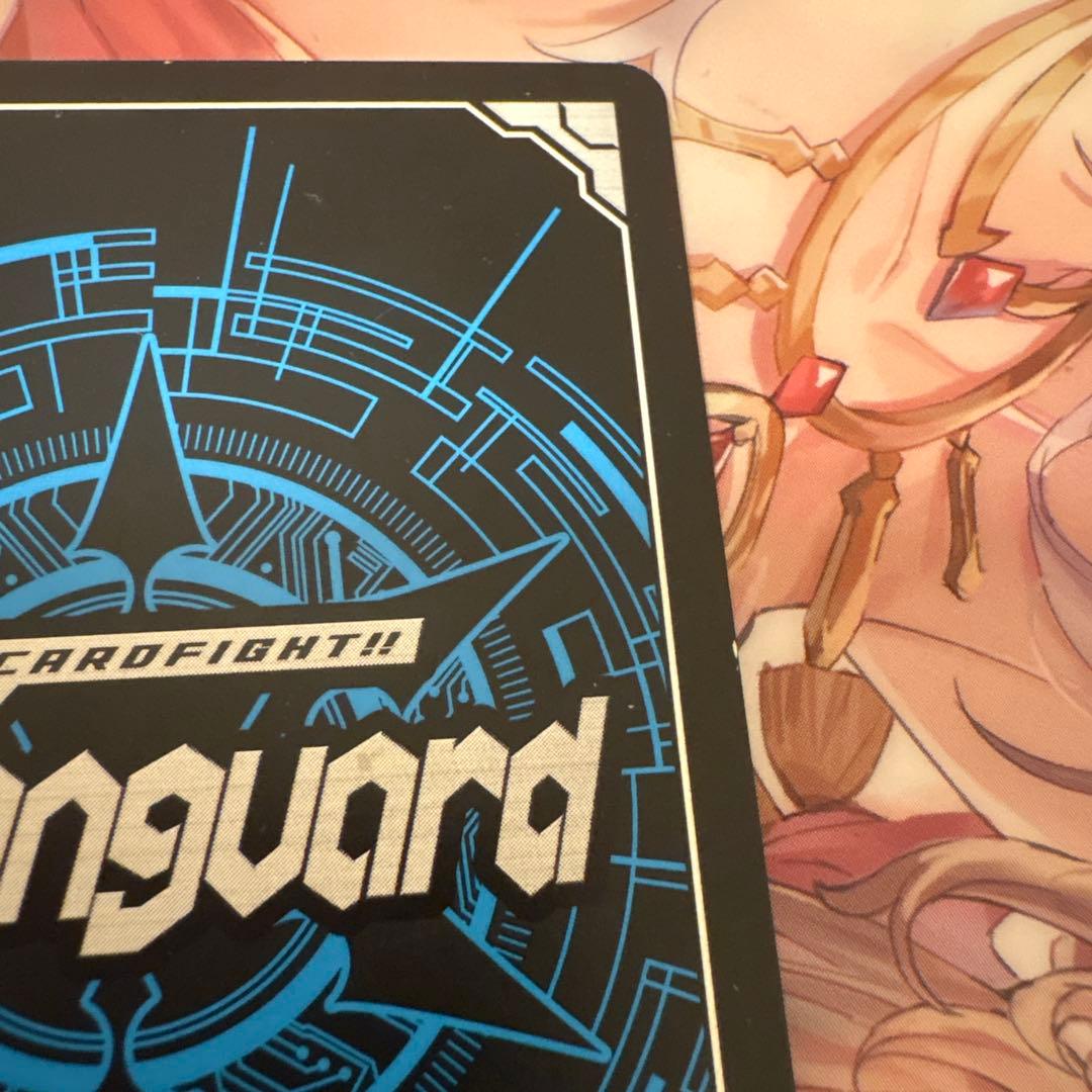 スノウスキップパルヴィ LSR ②