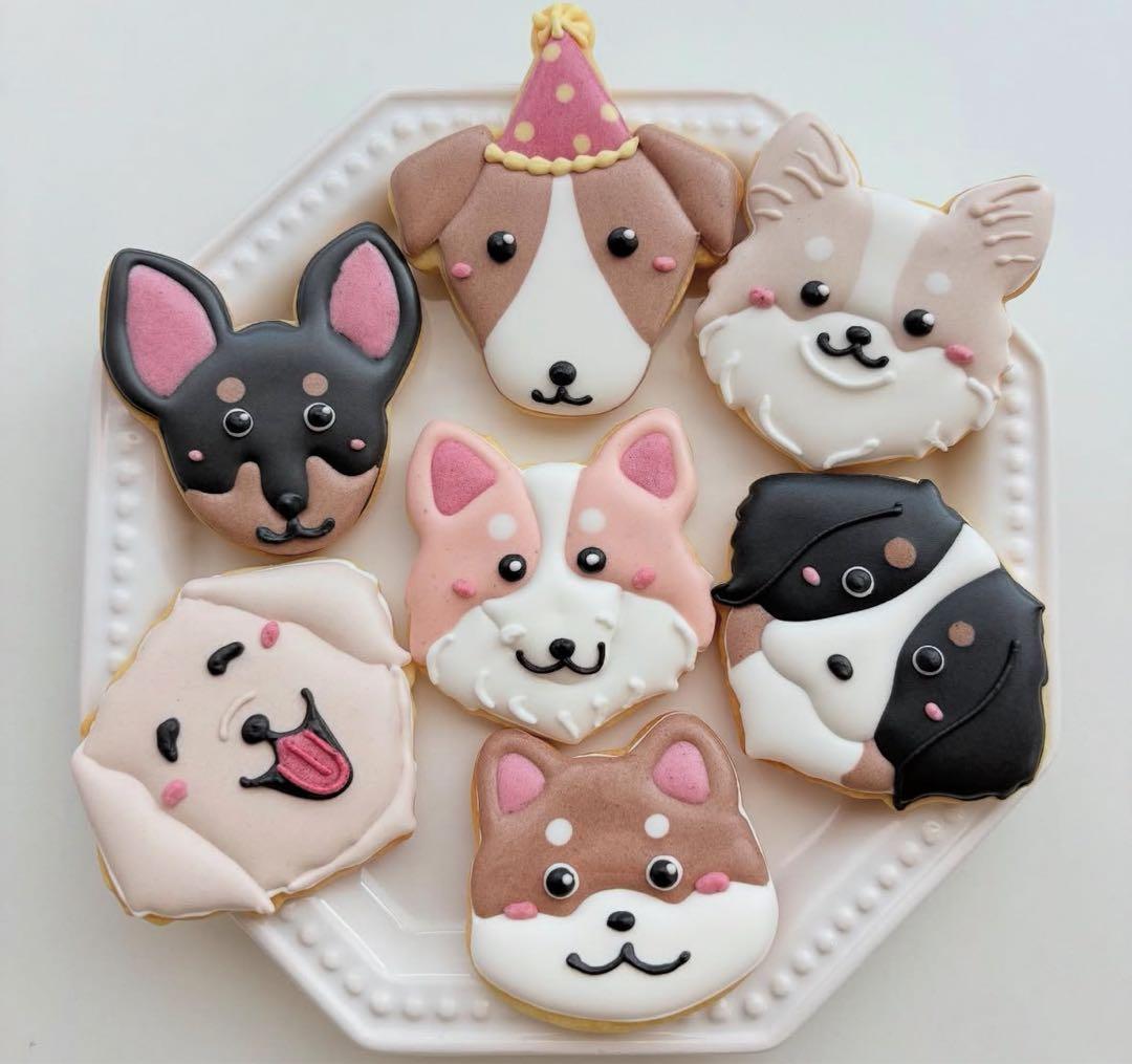 着色料不使用　海の生き物　予約販売