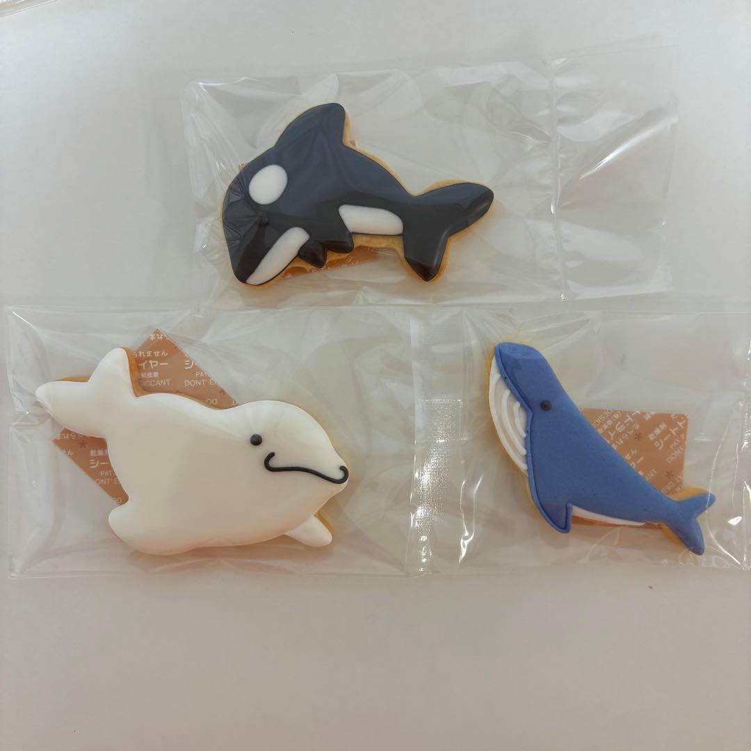 着色料不使用　海の生き物　予約販売