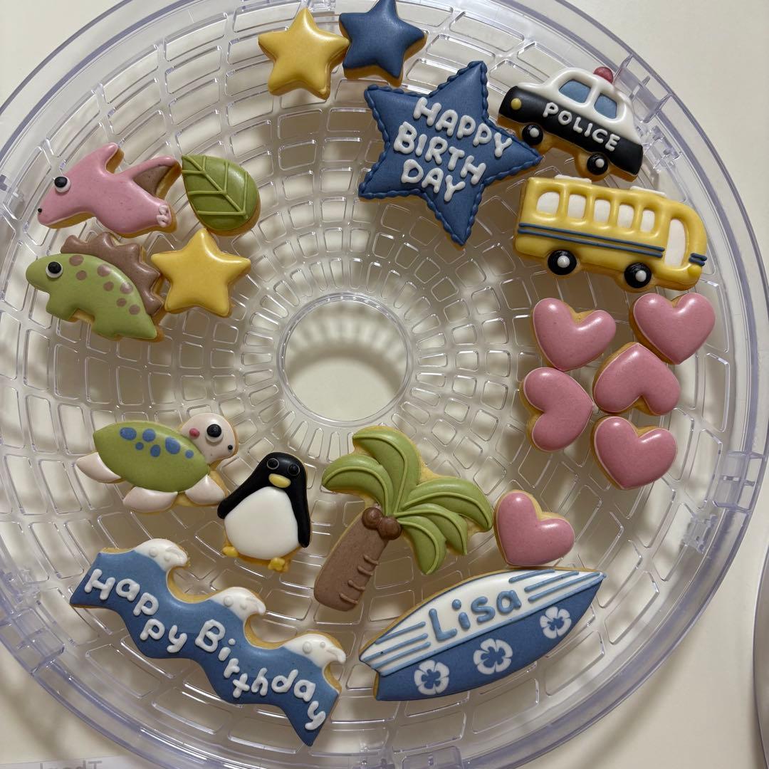 着色料不使用　海の生き物　予約販売