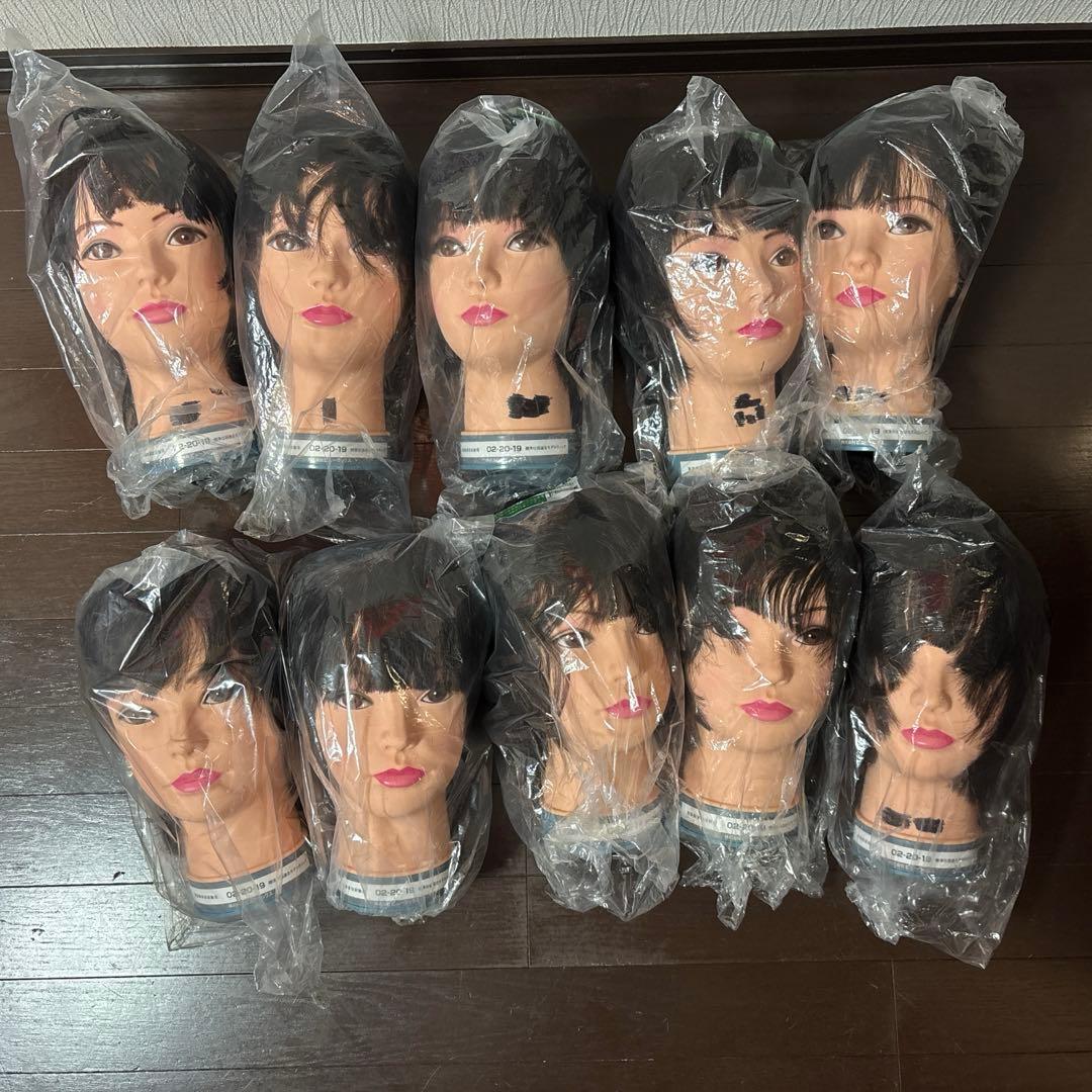 理美容師　練習用カットウィッグ　10体