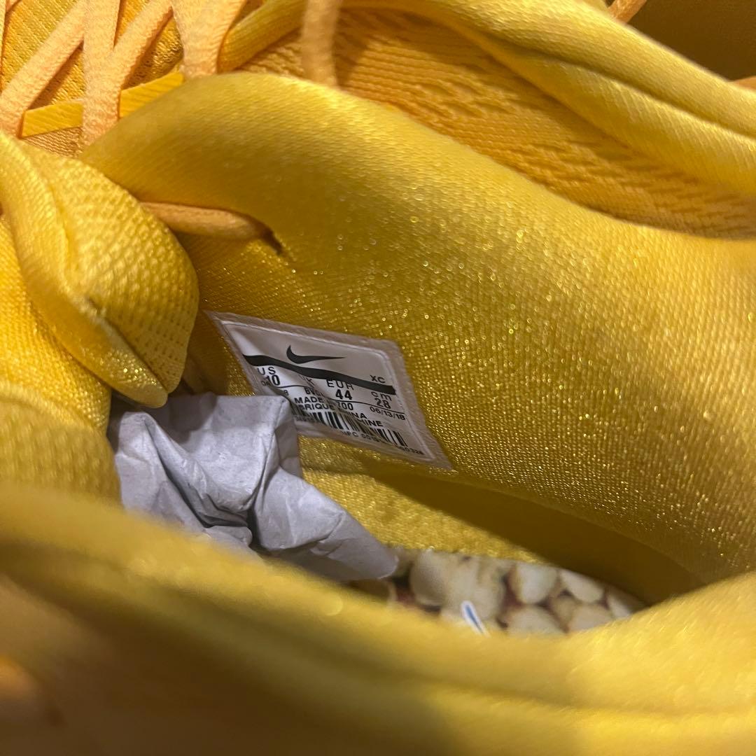 激レア ジェイソンテイタム 直筆サイン入り カイリー4KIX