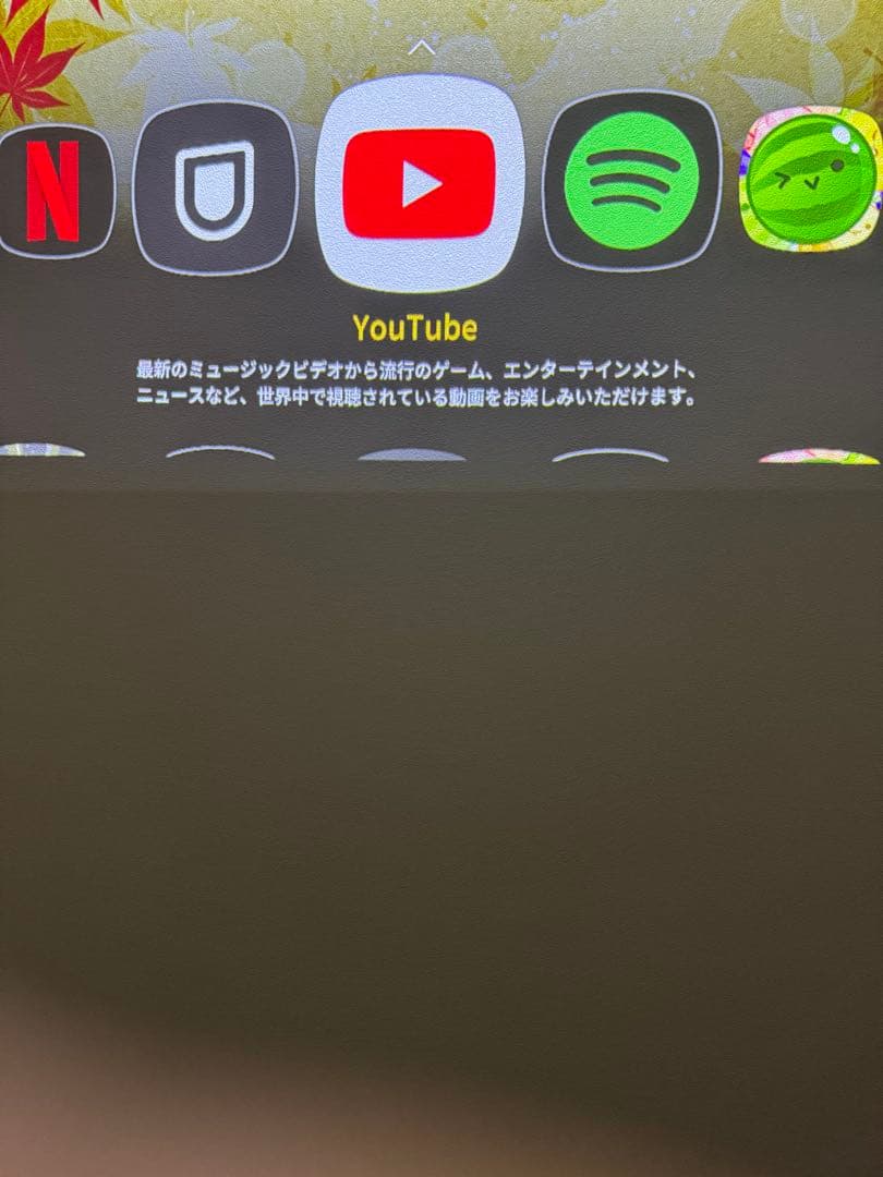 Aladdin X2 Light 本体　コネクターセット　アラジンプロジェクター