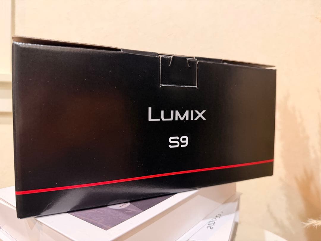 【即日発送可】lumix s9 DC-S9N-N チタンゴールド