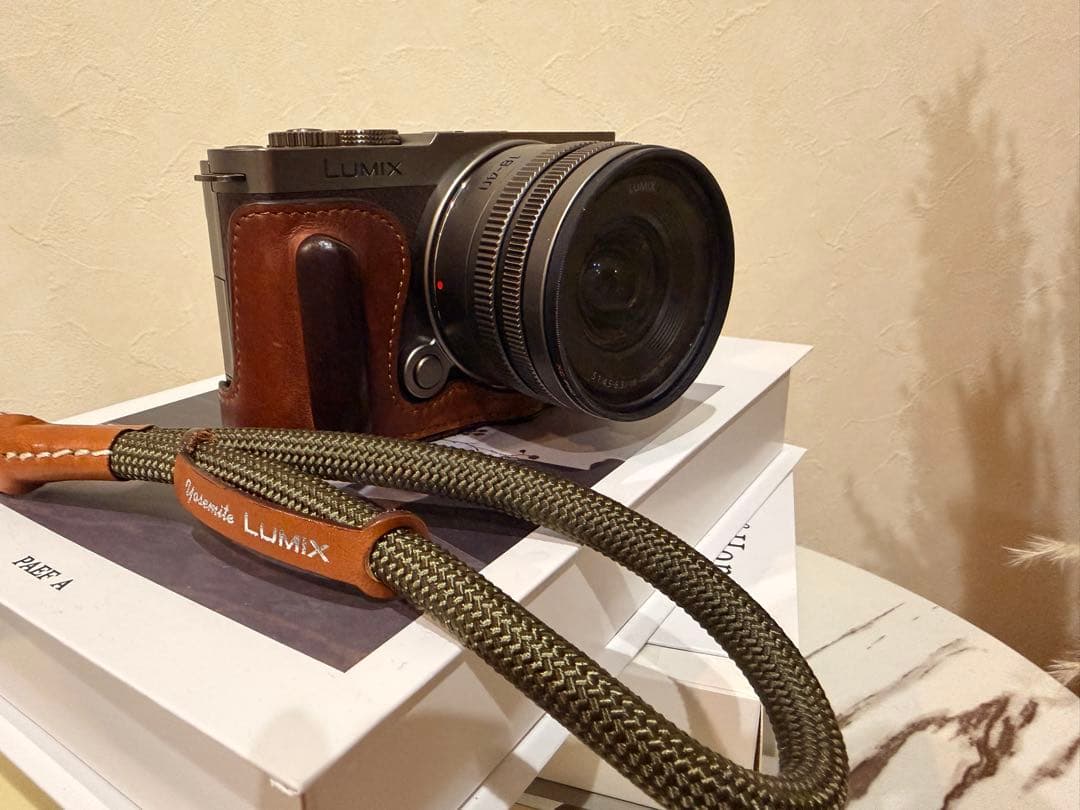 【即日発送可】lumix s9 DC-S9N-N チタンゴールド