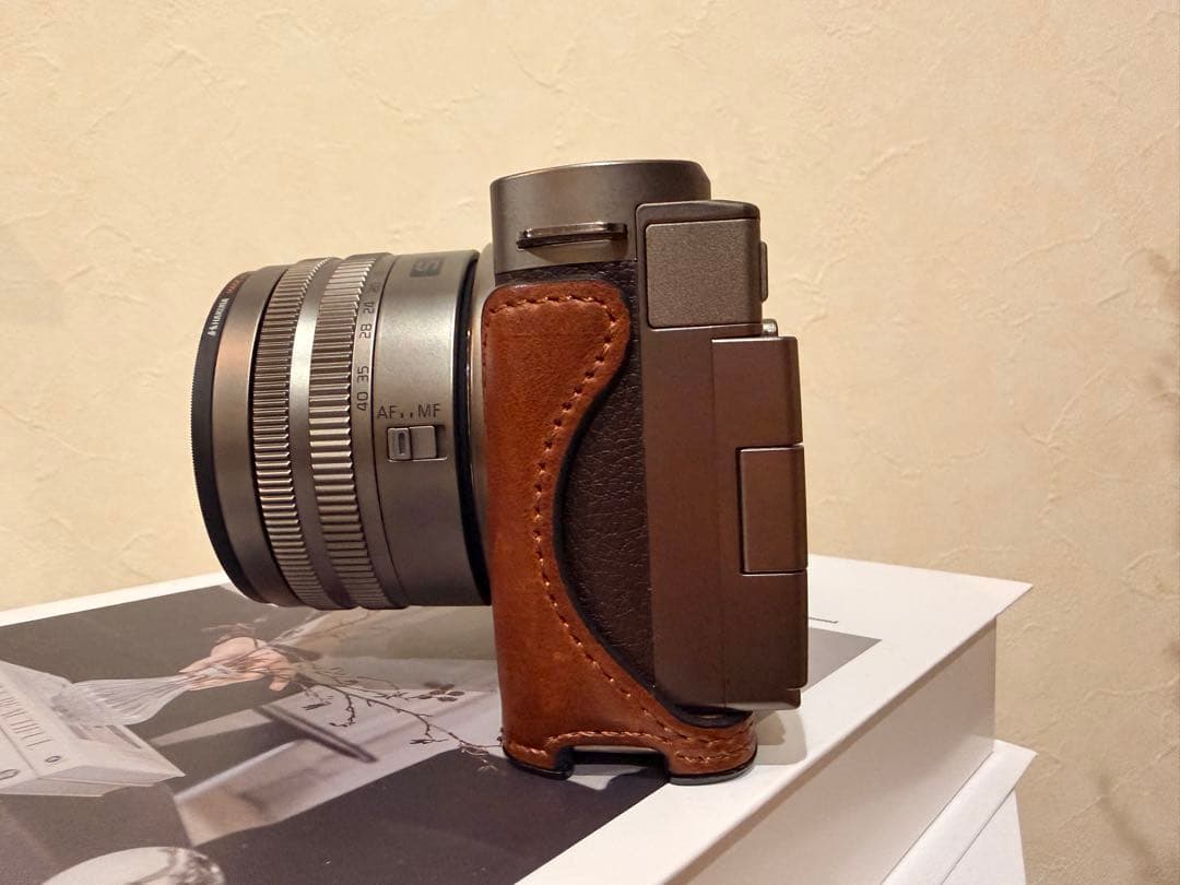 【即日発送可】lumix s9 DC-S9N-N チタンゴールド