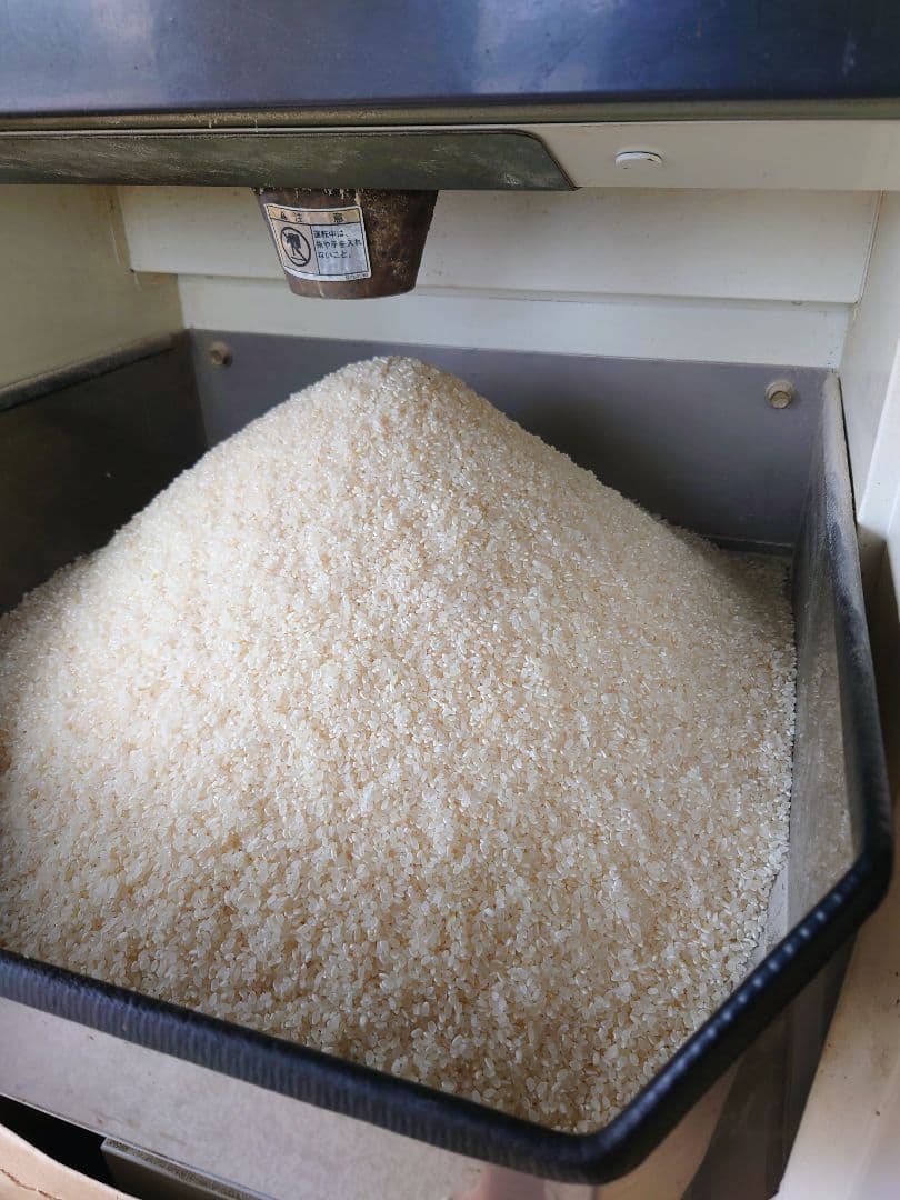 令和7年 新米 ! 精米無料 ! 栃木県大田原 黒羽産コシヒカリ 玄米10㎏