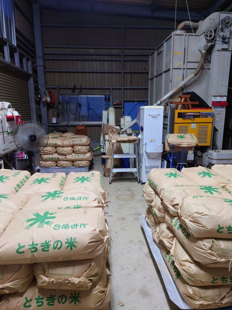 令和7年 新米 ! 精米無料 ! 栃木県大田原 黒羽産コシヒカリ 玄米10㎏