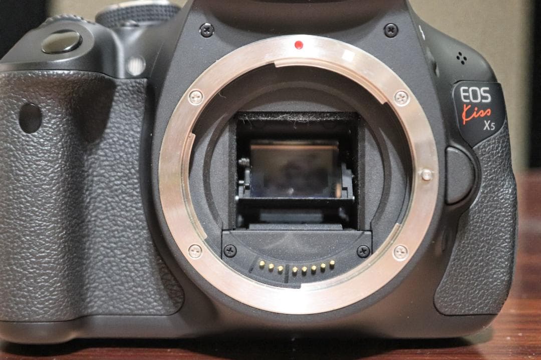 Canon キャノン EOS Kiss X5 1800万画素 おまけレンズ付