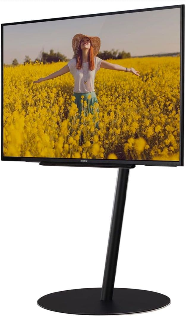 WALL テレビスタンド A2 ラージタイプ EQUALS