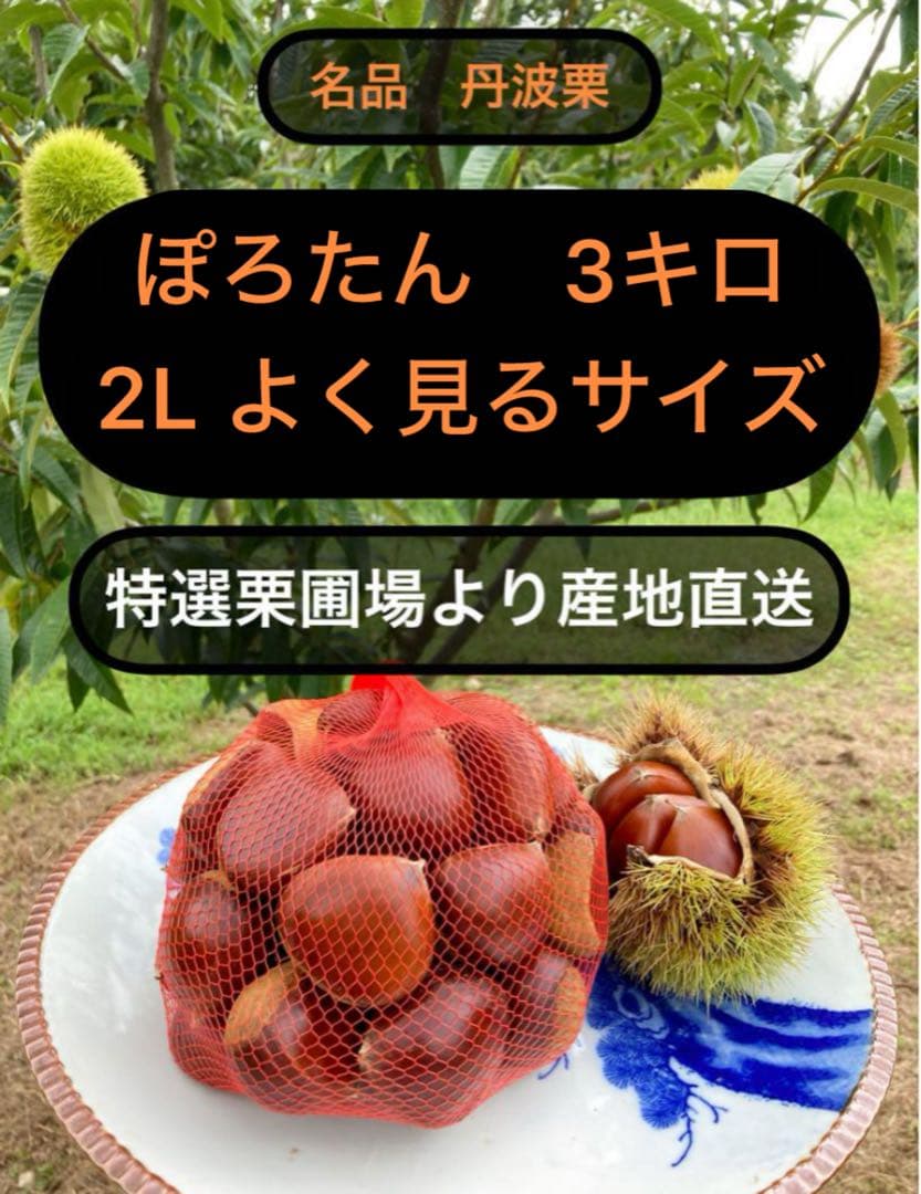 【今期ラスト】よく見るサイズ　2L ぽろたん　3kg