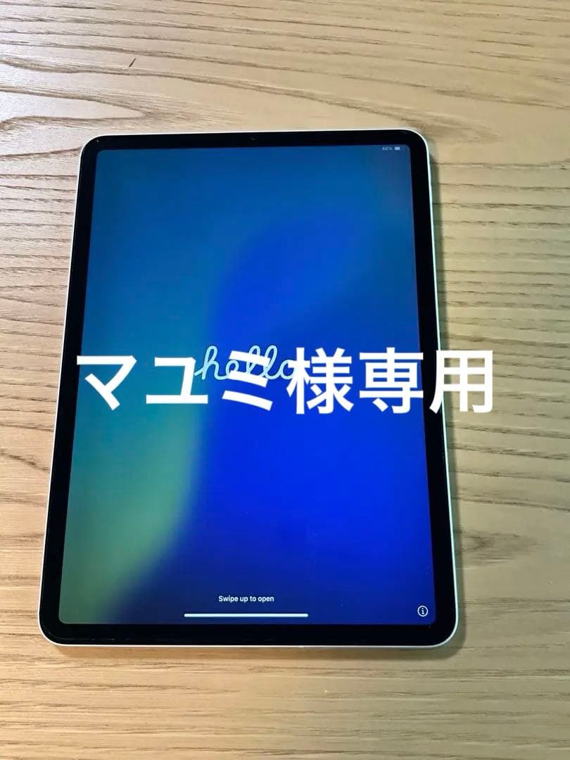 iPad Pro (第2世代) 11インチ 128GB Cellular