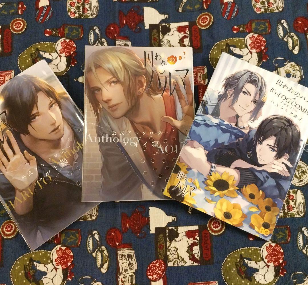 囚われのパルマ　アンソロジー3冊セット