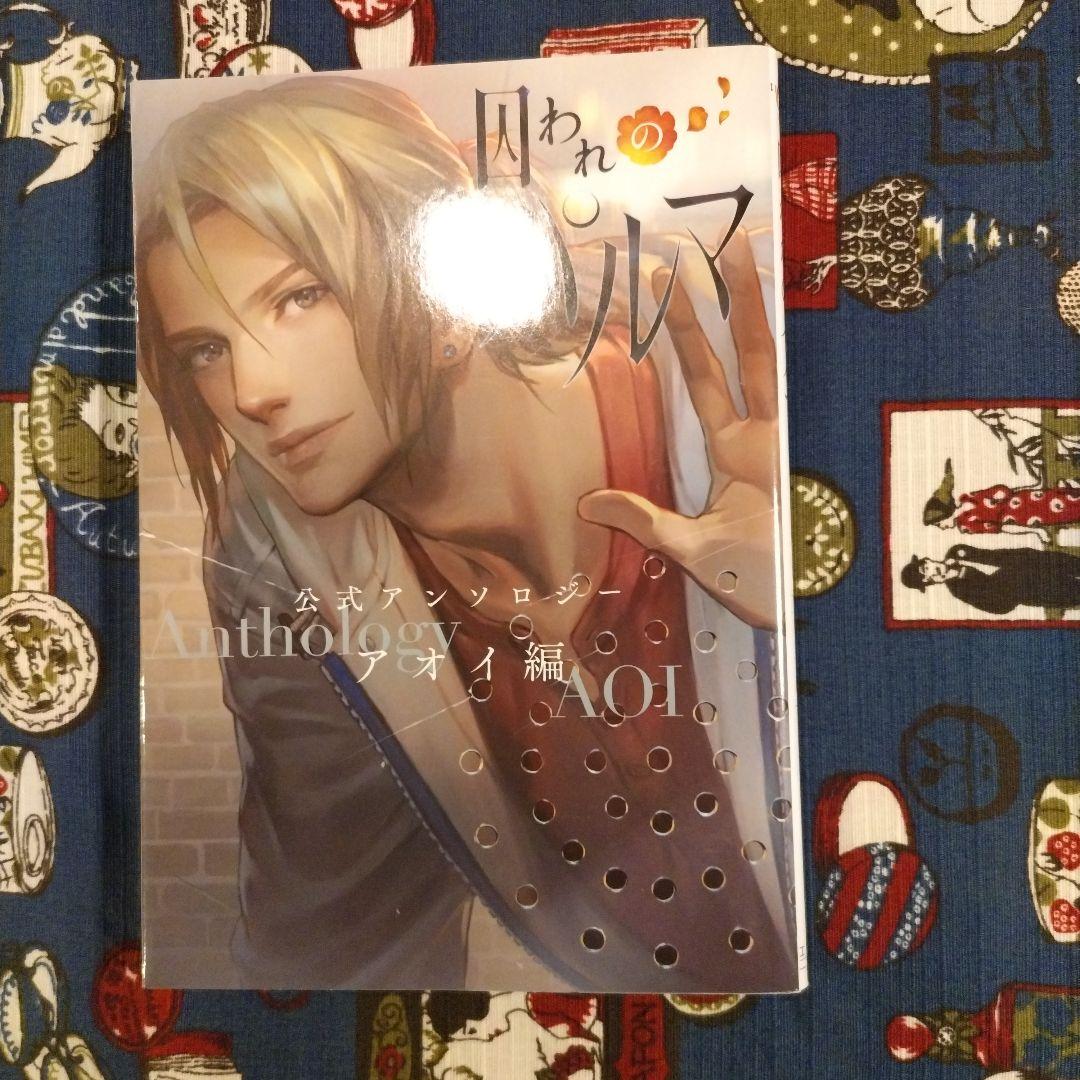 囚われのパルマ　アンソロジー3冊セット