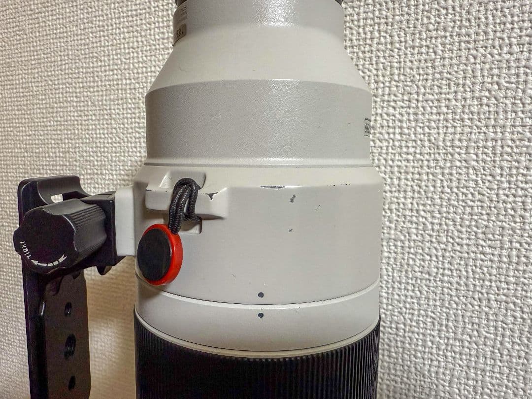SONY　200-600G　ズームレンズ　望遠レンズ