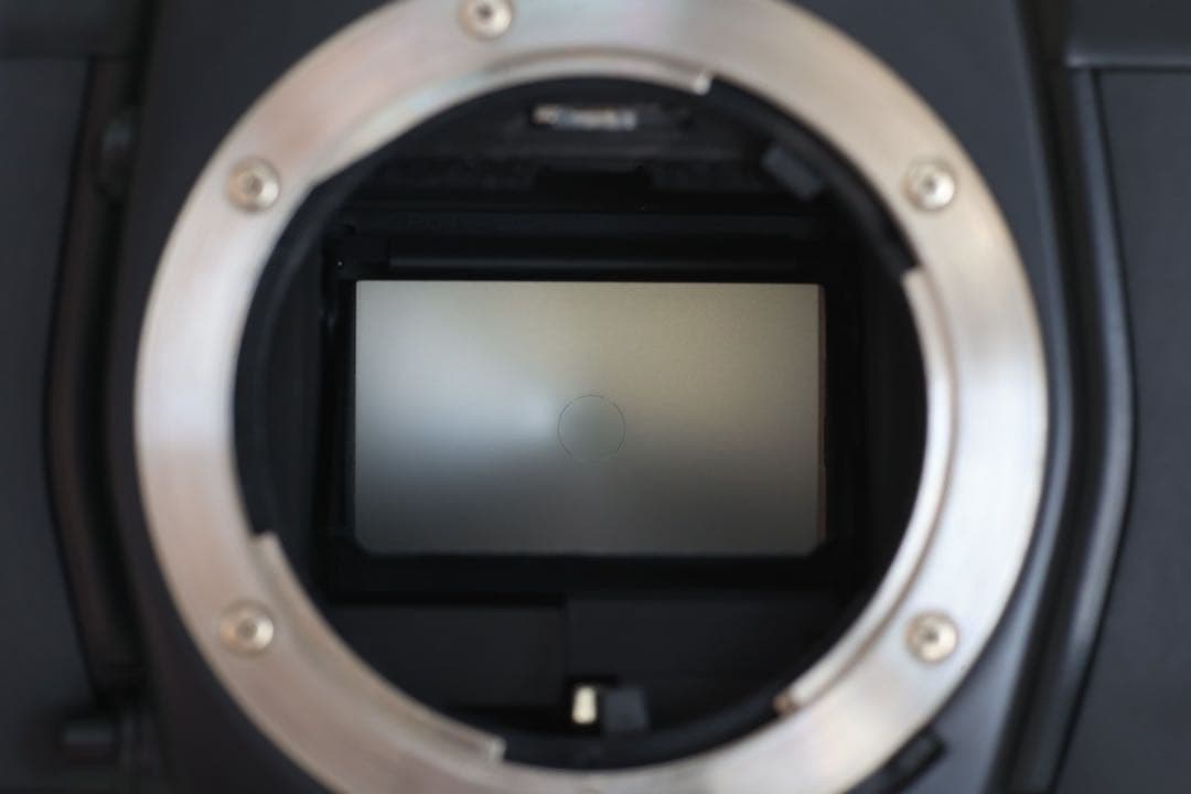 【完動】CONTAX コンタックス ST ＆バッテリーホルダP7/ カタログ