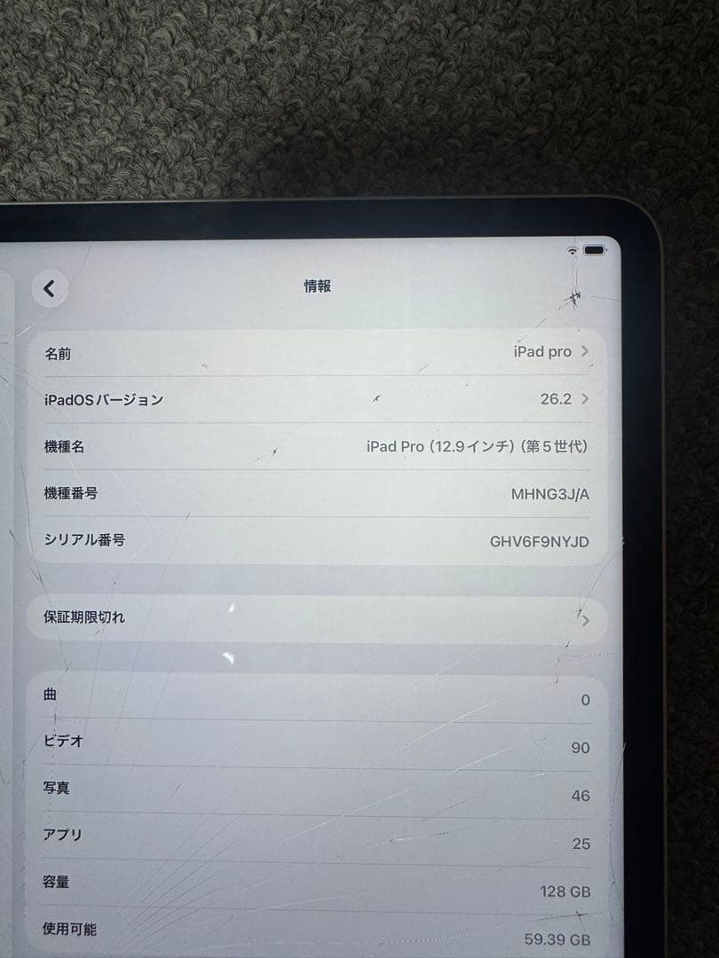 Apple ipad pro 第5世代　本体