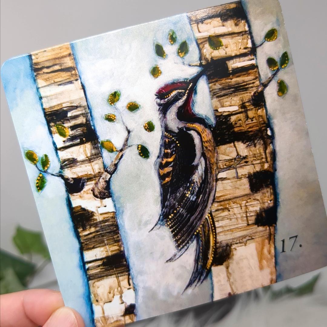 【正規品オラクルカード】激レア✨カナダのアーティスト作✨動物の精霊のデッキ