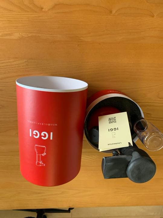 ローラスター 加圧式除菌脱臭スチーマーＩＧＧＩ　IGGIREDJP レッド