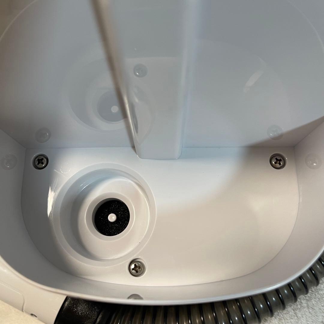 【美品】IRIS OHYAMA リンサークリーナー RNS-P10