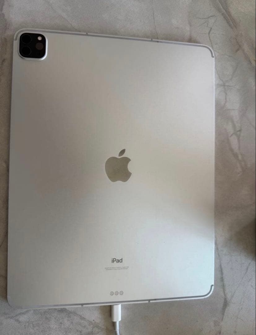 Apple iPad Pro 256GB（第5世代ジャンク品）