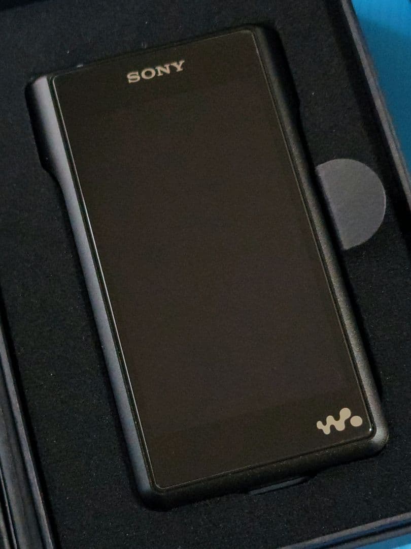 SONY WALKMAN NW-WM1A + 純正本革ケース