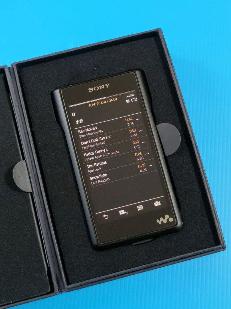 SONY WALKMAN NW-WM1A + 純正本革ケース