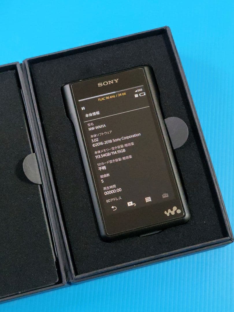 SONY WALKMAN NW-WM1A + 純正本革ケース