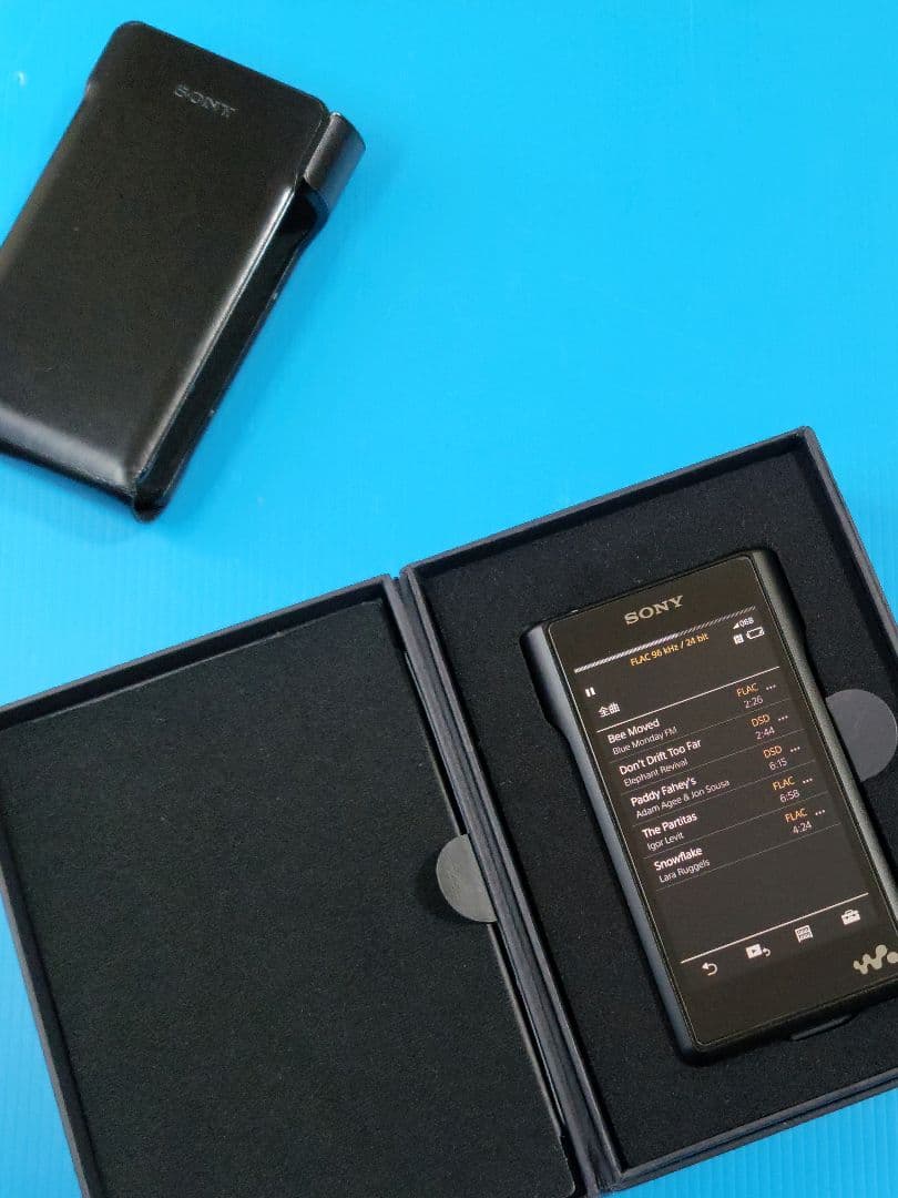 SONY WALKMAN NW-WM1A + 純正本革ケース