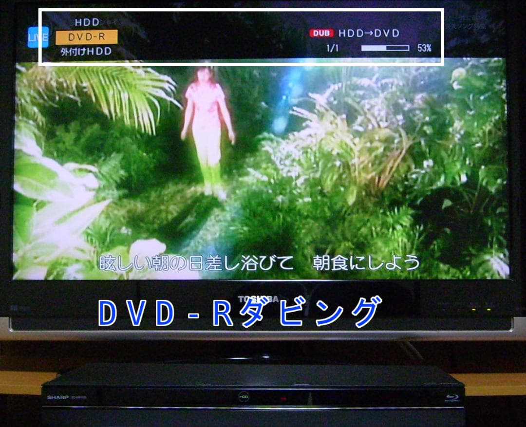 SHARP AQUOS ブルーレイレコーダー BD-NW1100