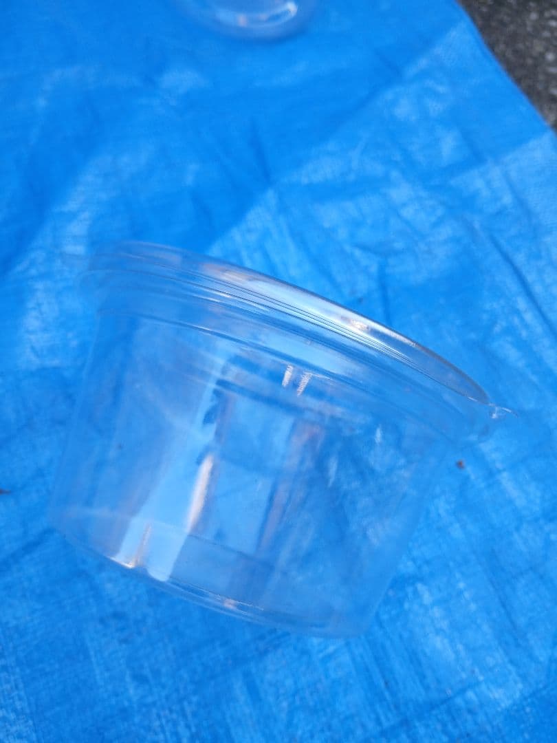 硬質クリアボトル、ボトルコンテナーなど幼虫飼育セット